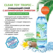 Очищающий спрей для игрушек CLEAR TOY Tropic - 100 мл. - Биоритм - купить с доставкой в Ангарске