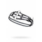 Черный кожаный пояс с кольцами - Pecado - купить с доставкой в Ангарске