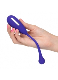 Фиолетовый шарик с электростимуляцией и вибрацией Intimate E-Stimulator Remote Kegel Exerciser - California Exotic Novelties - купить с доставкой в Ангарске