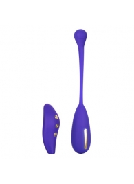 Фиолетовый шарик с электростимуляцией и вибрацией Intimate E-Stimulator Remote Kegel Exerciser - California Exotic Novelties - купить с доставкой в Ангарске