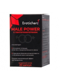 Капсулы для мужчин Erotichard male power с пантогематогеном - 20 капсул (0,370 гр.) - Erotic Hard - купить с доставкой в Ангарске