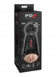 Мастурбатор-вагина с вибрацией Dirty Talk Starter Stroker - Pipedream - в Ангарске купить с доставкой