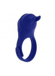 Синее эрекционное виброкольцо с клиторальной подушечкой и пультом ДУ Adjustable Fun Ring - Zero Tolerance - в Ангарске купить с доставкой