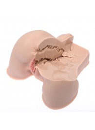 Мастурбатор-полуторс Naked Factory Kate - Naked Factory - в Ангарске купить с доставкой