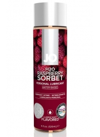 Лубрикант на водной основе с ароматом малины JO Flavored Raspberry Sorbet - 120 мл. - System JO - купить с доставкой в Ангарске