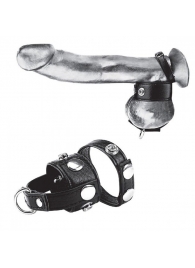 Утяжка для мошонки и пениса Cock Ring With 1  Ball Stretcher And Optional Weight Ring - BlueLine - купить с доставкой в Ангарске