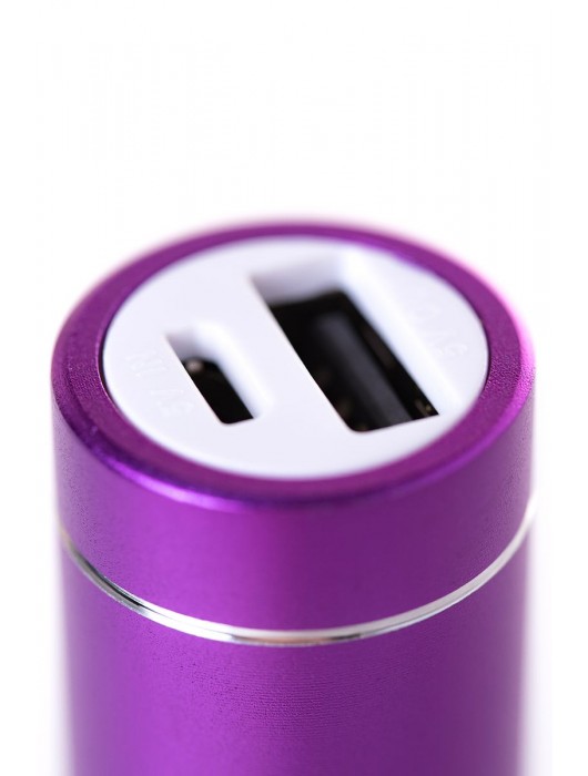 Портативное зарядное устройство A-toys 2400 mAh microUSB - A-toys - купить с доставкой в Ангарске