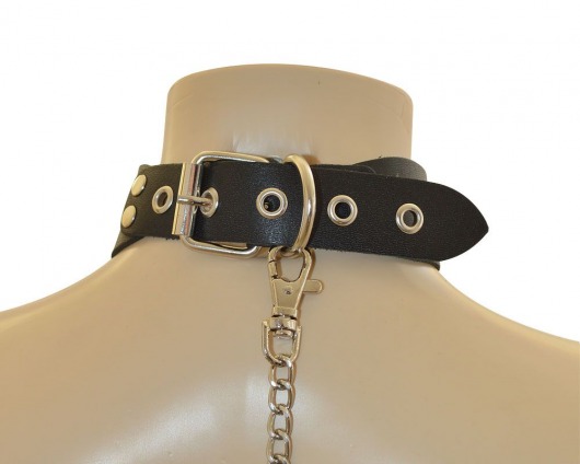 Ошейник  Веселый Роджер - Sitabella - купить с доставкой в Ангарске