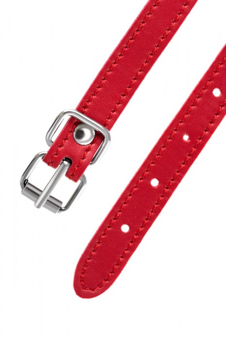 Красная маска Anonymo из искусственной кожи - ToyFa - купить с доставкой в Ангарске