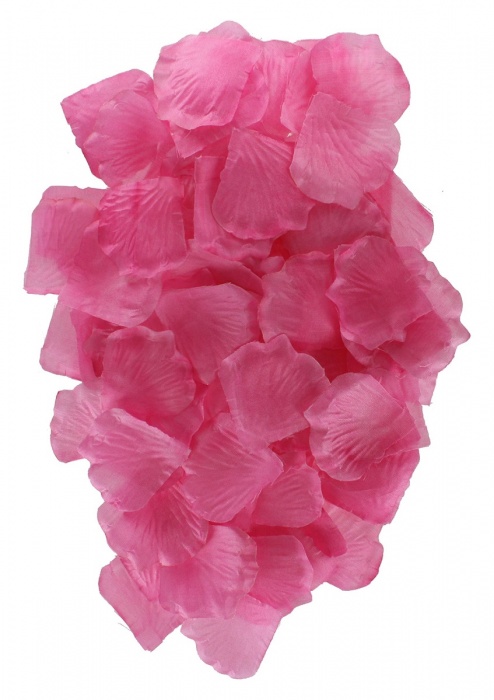 Эротический набор FANTASTIC PURPLE SEX TOY KIT - Toy Joy - купить с доставкой в Ангарске