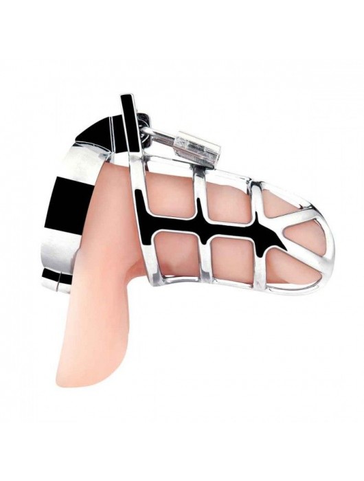 Серебристая металлическая клетка для члена с замком Enslave Cock Cage - BlueLine - купить с доставкой в Ангарске