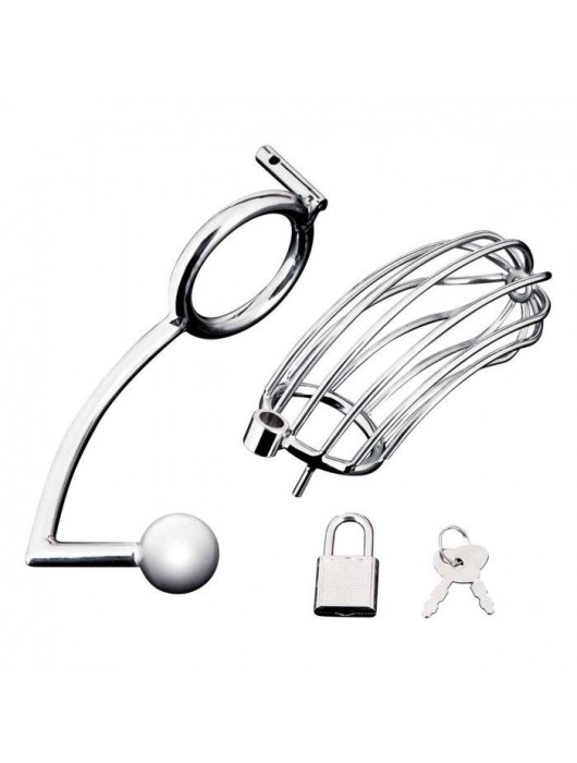 Серебристая металлическая клетка с анальным стимулятором Cock Cage - BlueLine - купить с доставкой в Ангарске