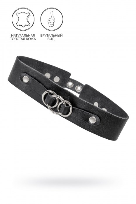 Черный чокер-ошейник со связанными кольцами на подложке - Pecado - купить с доставкой в Ангарске