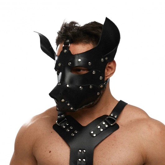 Черная кожаная маска «Собака» - Crazy Handmade - купить с доставкой в Ангарске