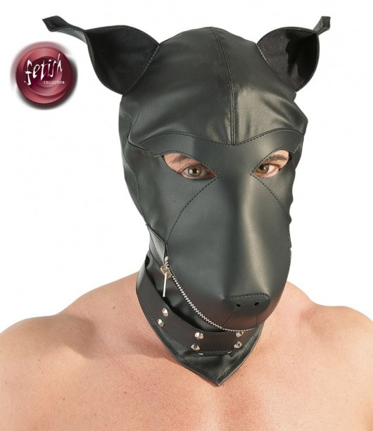 Шлем-маска Dog Mask в виде морды собаки - Orion - купить с доставкой в Ангарске